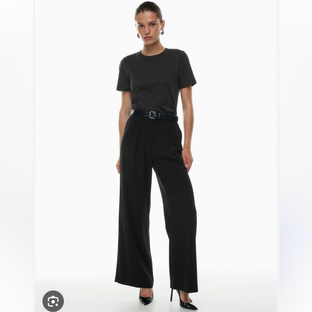 Aritzia Babaton Founder Pant